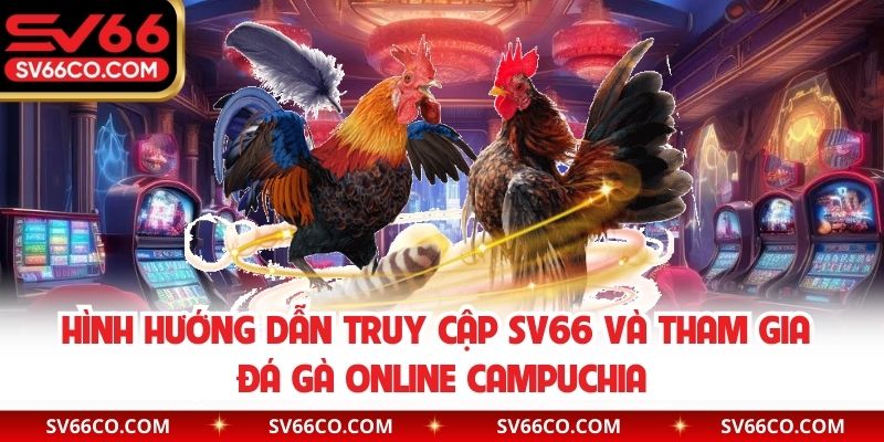 Hình hướng dẫn truy cập SV66 và tham gia đá gà online Campuchia